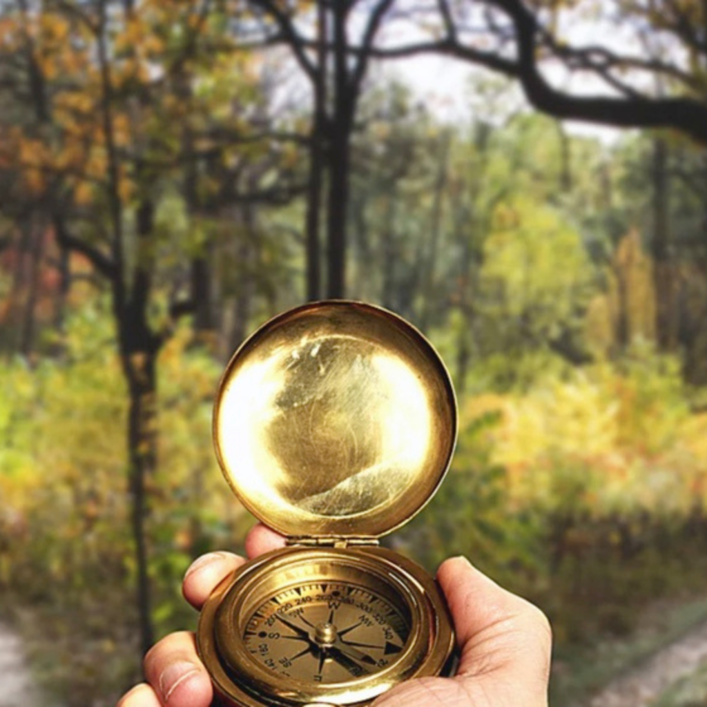 Parcours Orientation & Motivations ChrysaliD Accompagnement Douai